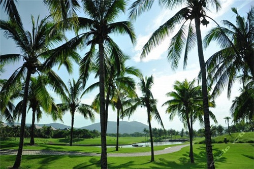 憨豆跳跳冰淇淋