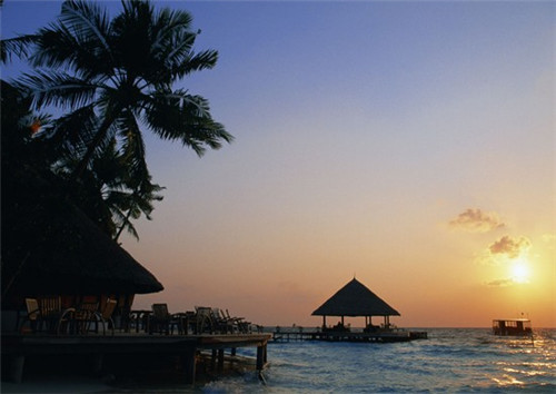 三刀日式分子料理