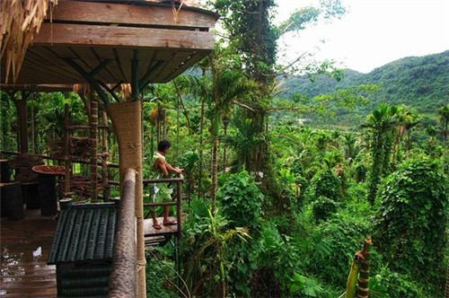 王家老太锅盖面