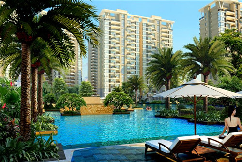 龟爵士汽车美容