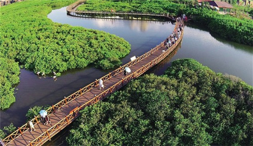 成记椒颜酸菜小鱼