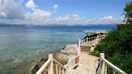 甘谷县开店创业护墙板品牌加盟需要什么条件，开个护墙板店要多少钱