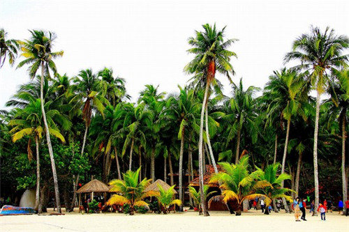 现代家庭火锅店设计