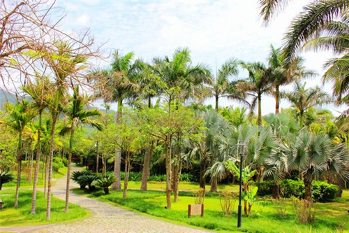 泳帽加盟店品牌排行榜（泳帽品牌性价比最高）