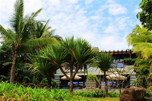 白菜炒木耳怎么炒法（白菜炒木耳的做法大全家常）