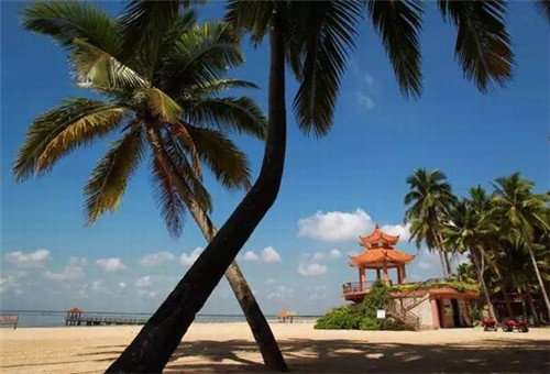 苗族老黑膏药正宗 正牌（苗家老黑膏多少钱一盒）