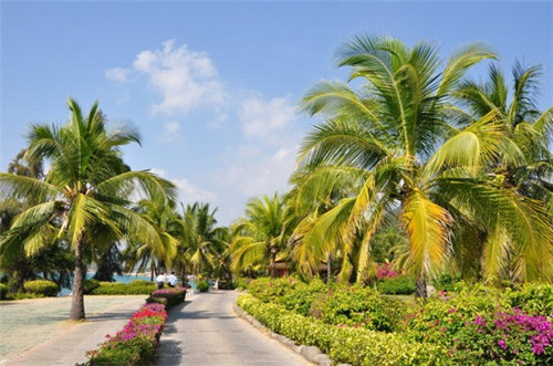 快手怎么避免重名找人（快手怎么避免重复）