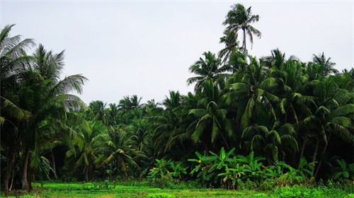 翅宴太极五行锅加盟电话是多少，加盟特色火锅哪个品牌好