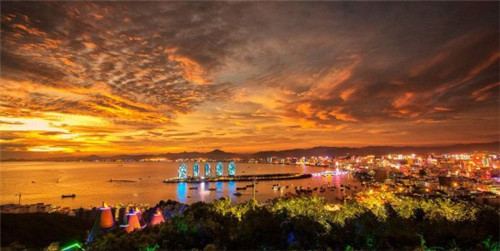 简历活动对接方案模板（简历活动主题）